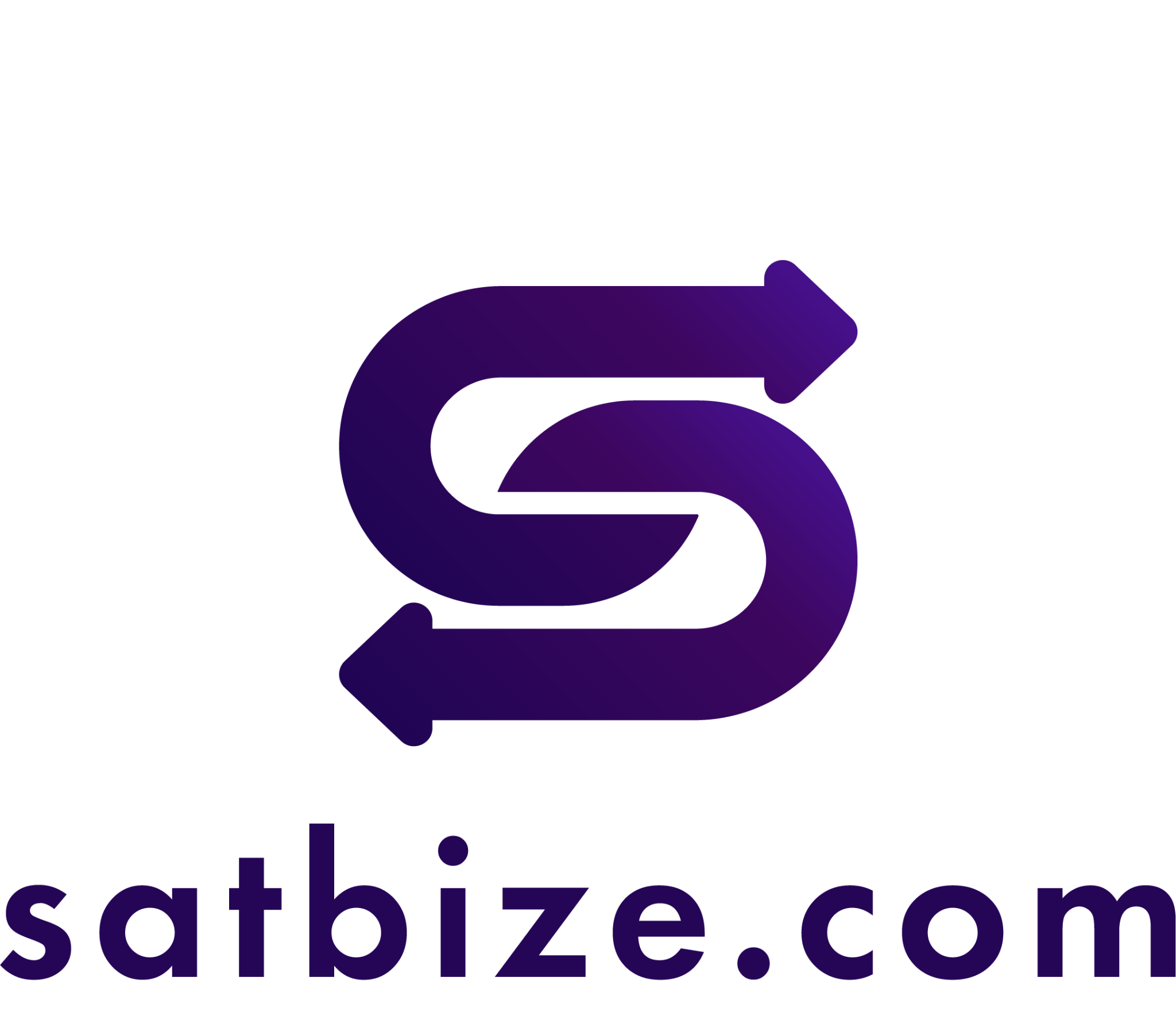 satbize.com logo