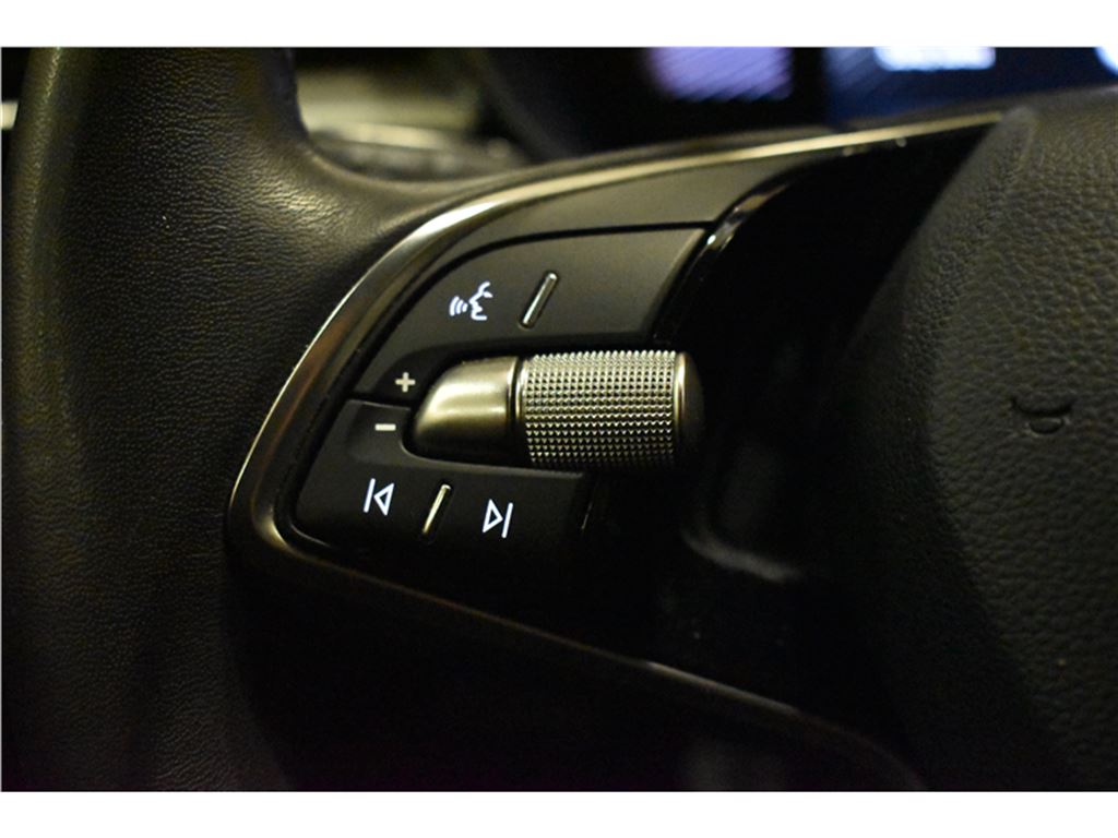 Skoda Fabia 1.0 Tsı Premium Dsg