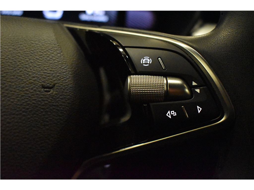 Skoda Fabia 1.0 Tsı Premium Dsg