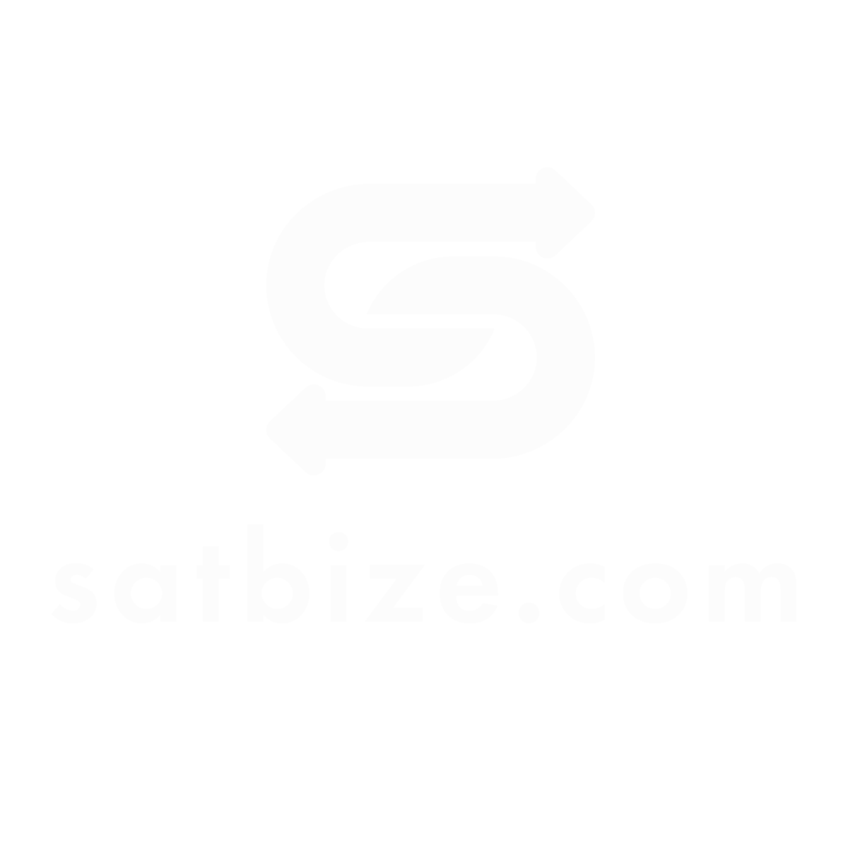 satbize.com